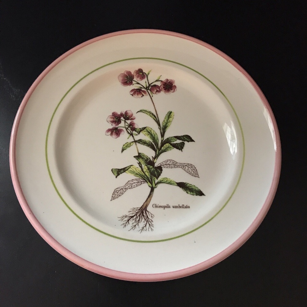 Primula Plate Made In Italy